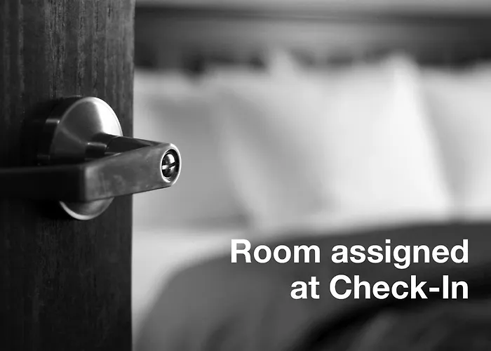 Dog friendly hotels Miami Princess