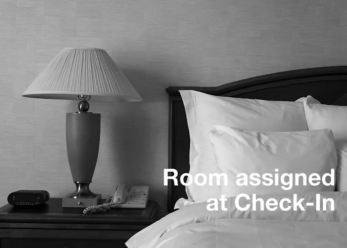 Dog friendly hotels Miami Princess